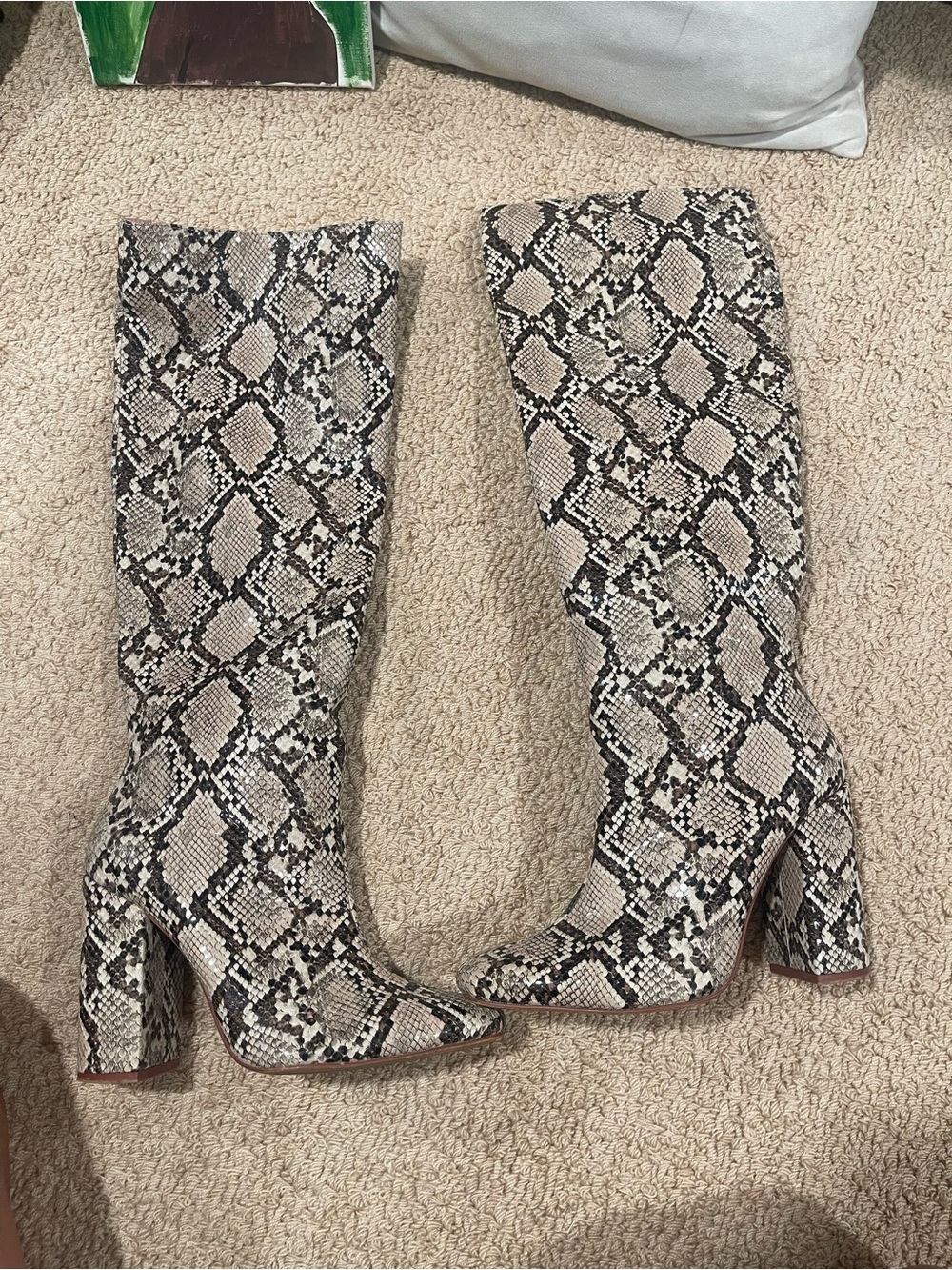 Zara Snake Print Knee-High Block Heel Boots - Neutral